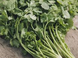 Check spelling or type a new query. Coriander Substitute What Can You Use Instead Cilantro How To Cook Leeks Herbs