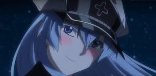 I love making new friends. Villain In Media That You Know From Anime Manga Comics Tv And Movies Would Make For A Ideal Spouse For Esdeath Akamegakill