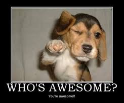 27 Shareable You Are Awesome Memes Fairygodboss