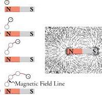 20.1 Magnetic Fields, Field Lines, and Force | Texas Gateway