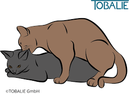 Unser techniker arbeitet schon auf hochtouren, um die angeforderte seite so schnell wie möglich wieder. Sex Unter Katzen