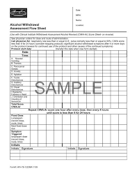 Alcohol Withdrawal Assessment Flow Sheet