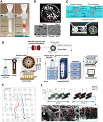 Beyaz eşyası koltuk takımları genç odası vs. Modern Isolation And Separation Techniques For Extracellular Vesicles Sciencedirect