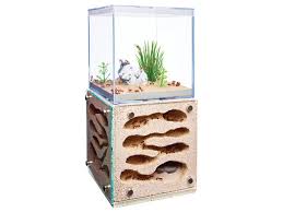How To Pick An Ant Farm For Grown Ups Popular Science Ant Farms Ant Habitat Ants