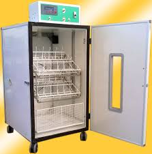 Devekuşu Yumurta Kuluçka Makinesi