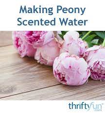 Lavender is also prized as a flavoring in cooking, as an ingredient in teas, and for a monofloral honey. Making Peony Scented Water Scented Water Peony Scent Peonies