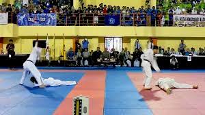 Peraturan walikota (perwali) tentang tunjangan kinerja aparatur sipil negara di lingkungan pemerintah daerah kota cimahi Tim Atraksi Taekwondo Cimahi Pukau Para Penonton