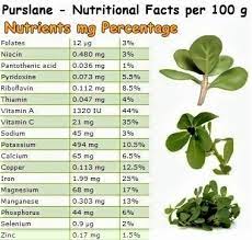 Increases heart health the cardiovascular benefits of consuming the purslane plant comes from the high quantity of omega 3 fatty acids. Health Benefits Natural Plantation