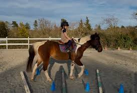 Profile for M. Young Equestrian