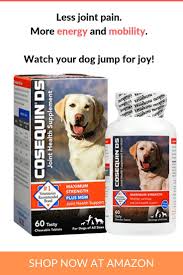 Pin On Dog Health Tips