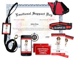 However, a fake esa letter can cause difficulties and get in the way of your itinerary. Emotional Support Animals Open Letter To Attorney General Maura Healey Masslandlords Net