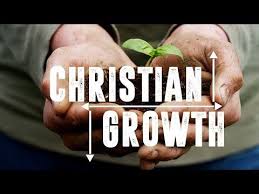 Spiritual Growth Is An Essential Characteristic Of The Christian Life The Bible Describes The Growth Of A Christian S Biblical Teaching Growth Christian Life