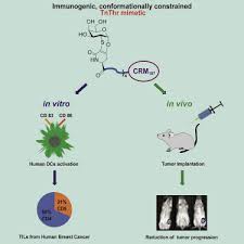 Patriotism 9/11 heroes support of our troops fireworks safety. A Structurally Simple Vaccine Candidate Reduces Progression And Dissemination Of Triple Negative Breast Cancer Sciencedirect