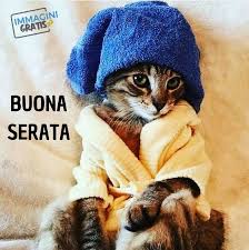 Augurando buona domenica buona giornata buonanotte buona notte buonanotte amici buonanotte frasi buonanotte immagini buonanotte whatsapp buona serata buongiorno buongiorno immagini buongiorno whatsapp buon. 88 Immagini E Frasi Gratis Di Buona Serata Immagini Gratis
