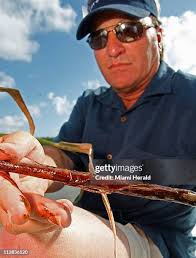 15 Petrole Hahn Stock Photos, High-Res Pictures, and Images