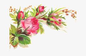 We did not find results for: Pink Flower Clipart Transparent Background Floral Corner Border Transparent 640x480 Png Download Pngkit