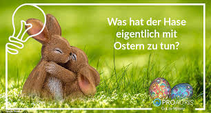 Das osterfeuer hat eine lange tradition und wird jahr für jahr in ganz deutschland sowie in anderen ländern, in denen das osterfest gefeiert wird, angezündet. Was Hat Der Hase Eigentlich Mit Ostern Zu Tun Proauris Blog