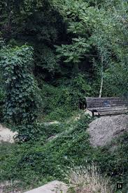 That beautiful knockout of woman is my mother. Daniela Friebel Artist News Exhibitions Photography Now Com