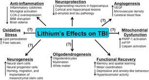 One 1979 study in rats is it more or less risky than lithium carbonate, the version in prescription pills? Lithium Orotate Nootropics Expert