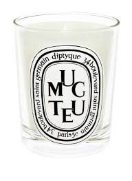 Muguet, a character in the movie how much do you love me? Muguet Von Diptyque Bei Breuninger Kaufen