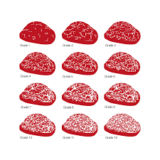 Wagyu Vs Kobe Beef Canegra