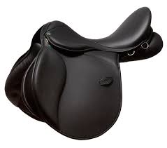 En la antigüedad era la sede de un importante santuario y además el lugar donde se celebraban los juegos olímpicos. Olimpia Saddle Ludomar