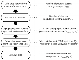 Flow Chart Of Simulation Procedure 2d Photon Flux Map