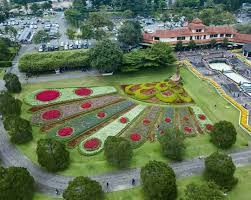 Berbeda dengan tanaman jenis lain, tanaman hias bisa membuat bangunan, taman, kolam, bahkan dekorasi suatu tempat menjadi lebih indah. Tapiary Karakter Binatang Ala Taman Bunga Nusantara Spot Foto Indah Dan Keren
