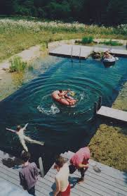 Make A Pool Look Like A Lake Natural Swimming Pools Natural Swimming Pool Natural Pool