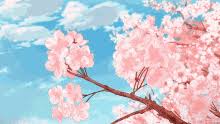 Cherry blossom flower wallpaper gif if you see some anime cherry blossom desktop wallpaper you'd like to use, just click on the image to download gif animation cherry blossom scenery anime scenery anime scenery wallpaper anime background 1920x1080 sakura computer wallpapers. Cherry Blossom Gifs Tenor