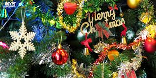 New zealand shores is looking for a licensed immigration adviser who enjoys a fun, dynamic and licensed immigration advisor. How To Enjoy Christmas Holiday In Egypt Egypt Tours Portal