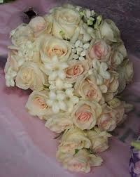 Ships in 1gallon pot (6″ pot). Soft Pink Roses Stephanotis Wedding Bouquet In Hartville Oh Country Flowers Herbs