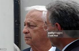 102 Nir Levy Stock Photos, High-Res Pictures, and Images