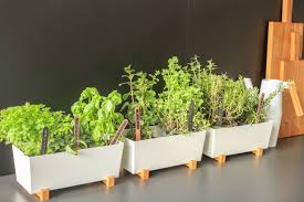 Ikea Bittergurka Ubertopf Love Your Home Plant Decor Herb Garden