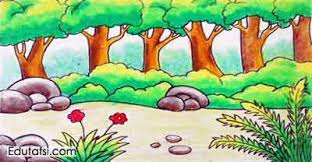 Cara menggambar dan mewarnai makeup glitter rainbow makeup tools coloring and drawing. Cara Menggambar Pemandangan Pinggiran Hutan Untuk Pemula Dunia Belajar