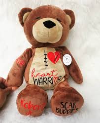 Heart Warrior Bear Child With Chd Heart Disease Awareness Bear Chd Designs Heart Surgery Gift Ideas Chd Awareness Warriors Baby