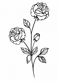 Free flower sketch pull material sketch black and white flowers. 16 Flower Png Black And White Flower Drawing Vintage Flowers Cartoon Flowers