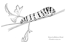 Thanks for watching our channel. 20 10 Day Observation Ideas Observation Spider Drawing Crab Art