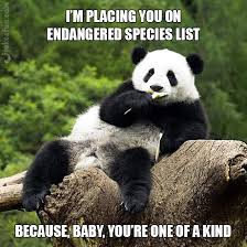 Our cheesy pick up lines are so bad you won't help but roll your eyes, right before you burst out laughing! Joke4fun Memes Panda Pickup Line