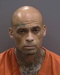 Tampa Bay Mugshots -...