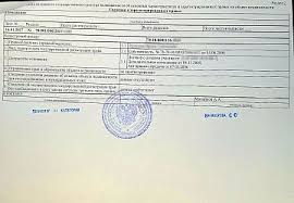 Kak Poluchit Kadastrovoj Pasport Ili Vypisku Iz Egrn