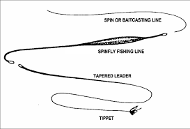 Skips Spinfly Line What Is A Spinfly Line And How Do You