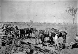 Horse Drawn Road Making Bendigo Victoria Circa 1915 Workers Of The Bendigo Country Roads Board Co Australia History Aboriginal History Australian Road Trip
