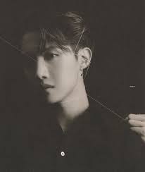 bts album scans おしゃれまとめの人気アイデア pinterest bts pics ホソク