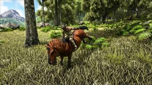 We did not find results for: Ark Survival Evolved 9 Essential Tips For Starting Out Vg247