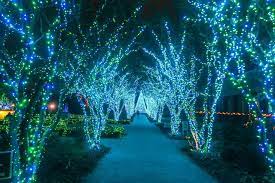 Holiday Lights At Atlanta Botanical Gardens Atlanta Botanical Garden Holiday Lights Botanical Gardens