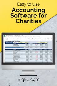 Easy To Use Accounting Software For Charities Bigez Com In 2020 Accounting Software Accounting Nonprofit Fundraising