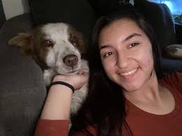 Lost border collie found safe in Las Vegas