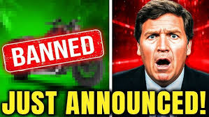 Gold Coast based Shark Leathers are hungry for success!