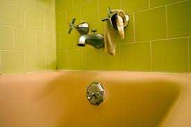 I Cant Afford Sperm. So I Did DIY Fertility Treatment in My Bathtub. -  Talk Poverty